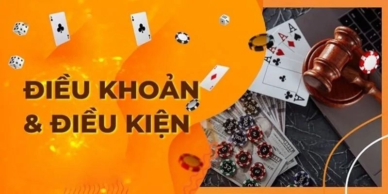Điều khoản và điều kiện